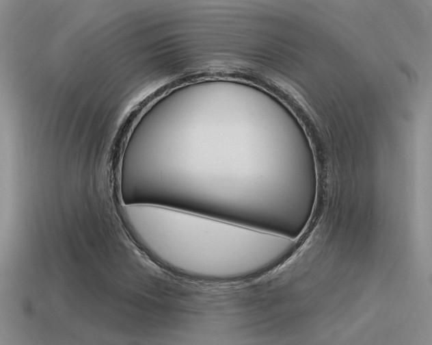 X0000115551018200911061122