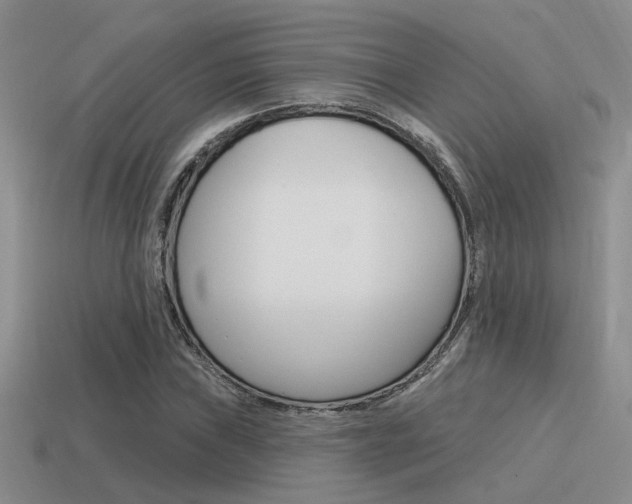 X0000115551019200911061122