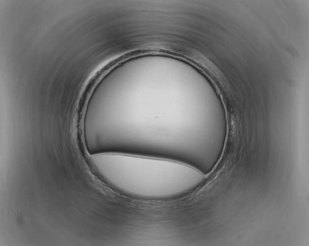 X0000115551020200911061122