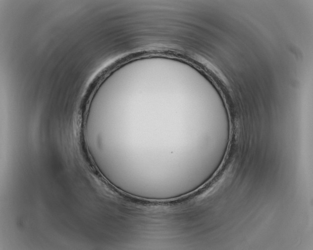X0000115551021200911061123