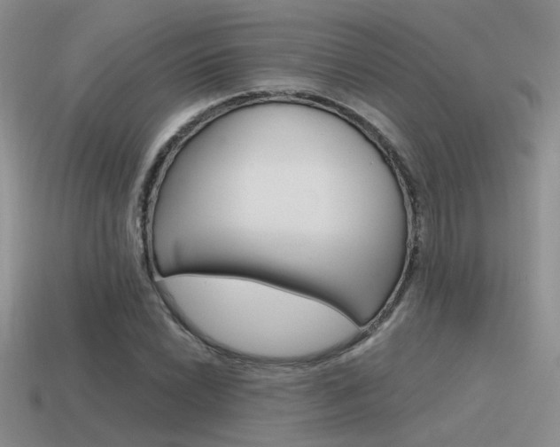 X0000115551022200911061123