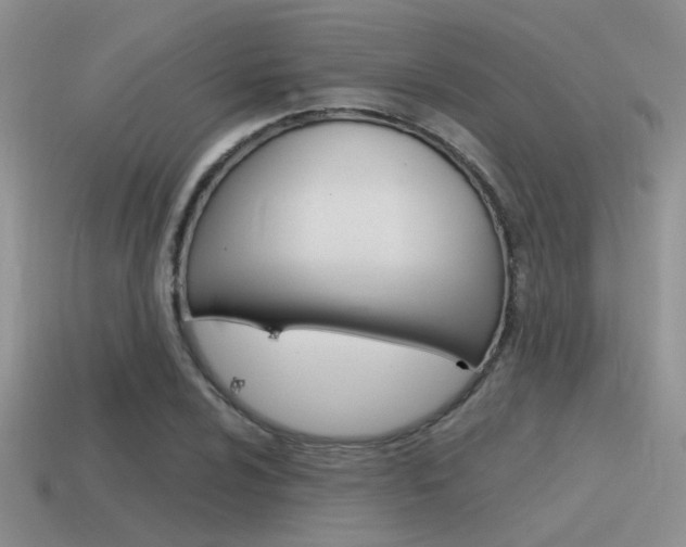 X0000115551024200911061123