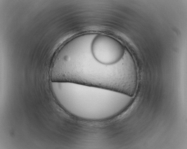 X0000115551025200911061123