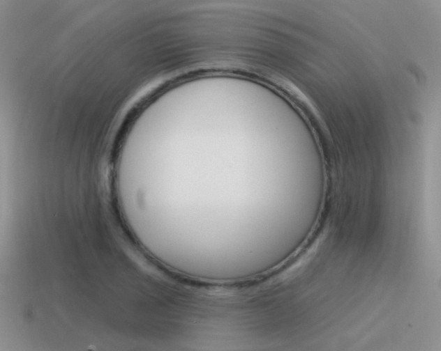 X0000115551029200911061123