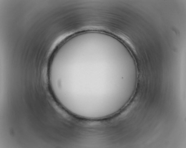 X0000115551030200911061123
