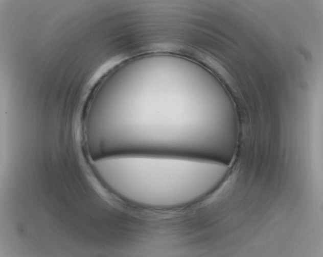 X0000115551034200911061123