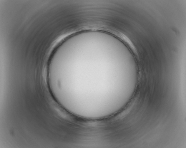 X0000115551035200911061123