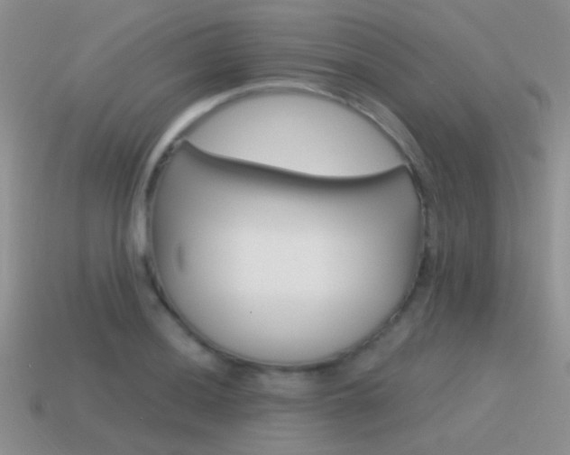 X0000115551036200911061123