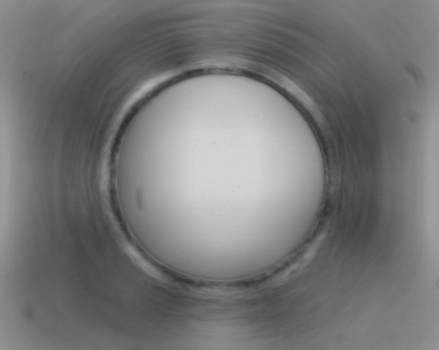 X0000115551037200911061123