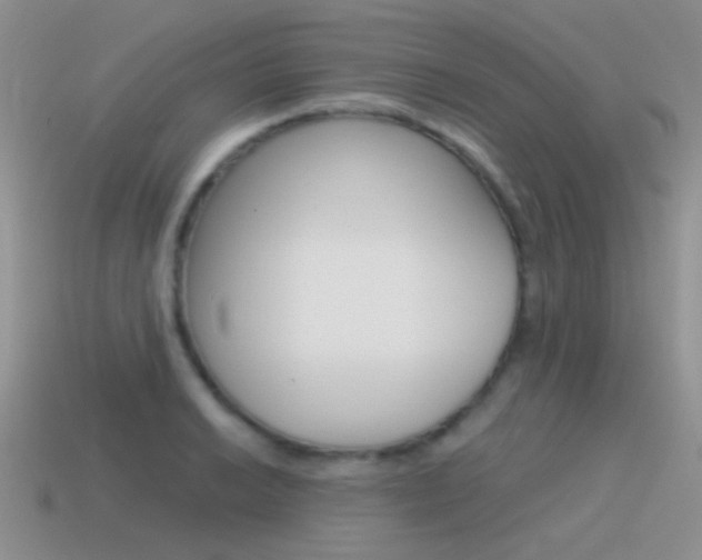 X0000115551038200911061123
