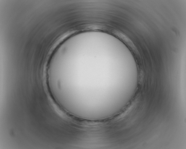 X0000115551039200911061123