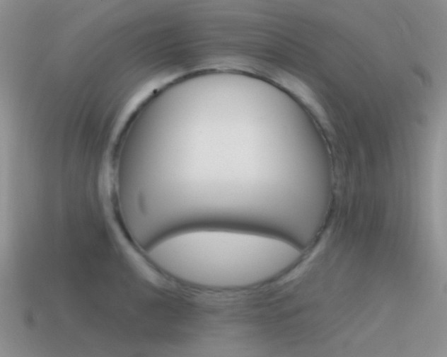 X0000115551040200911061123
