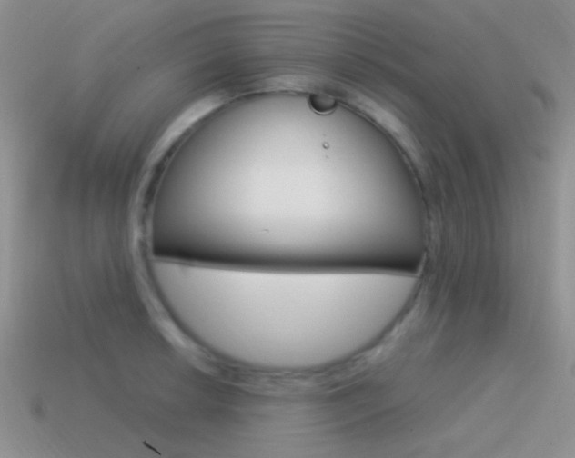 X0000115551042200911061123
