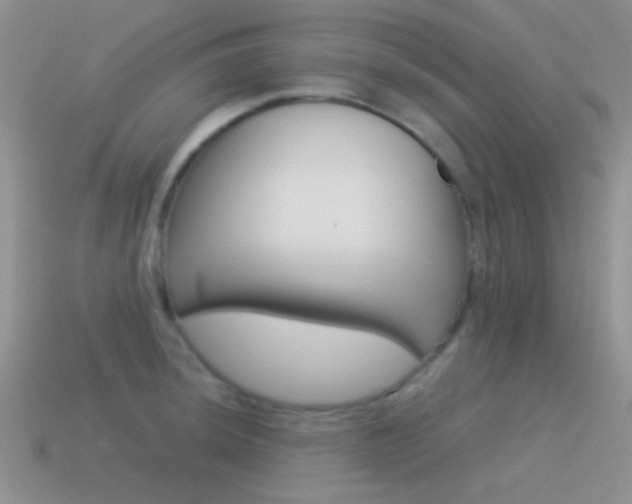 X0000115551044200911061123