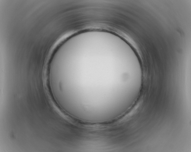 X0000115551045200911061123