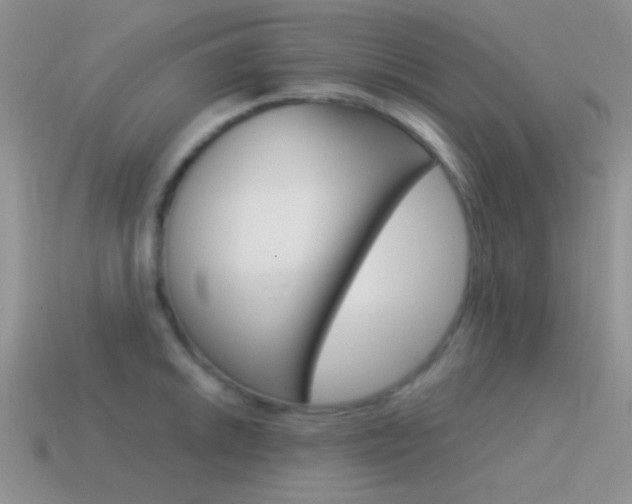 X0000115551046200911061123