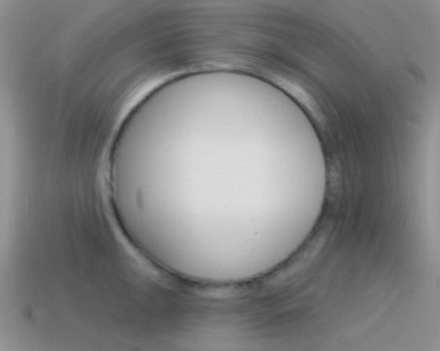 X0000115551047200911061123
