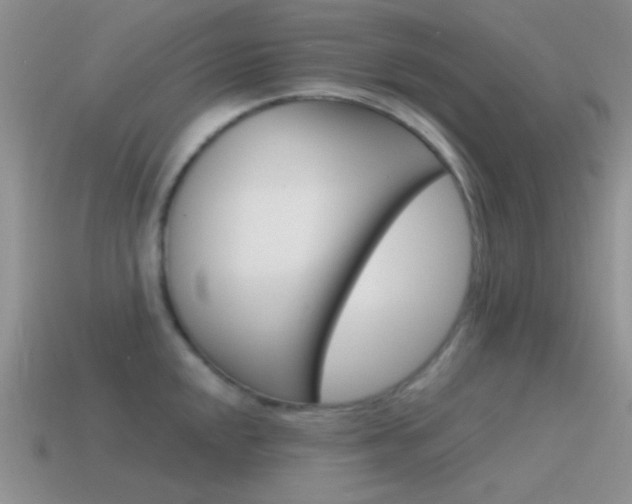 X0000115551048200911061123