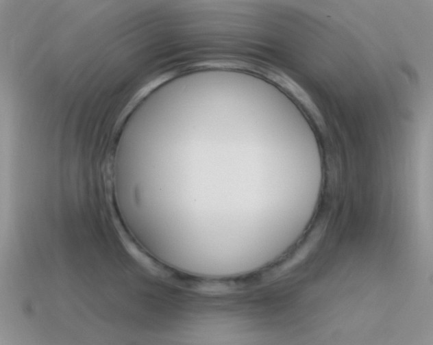 X0000115551049200911061123