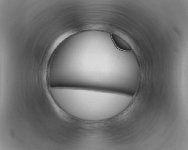 X0000115551050200911061123