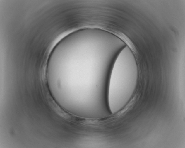 X0000115551052200911061123
