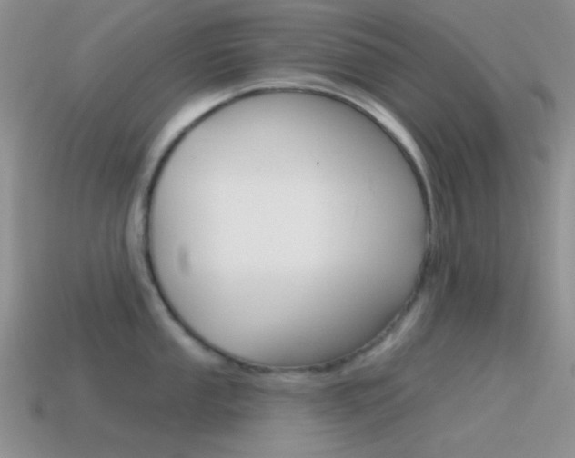 X0000115551053200911061123