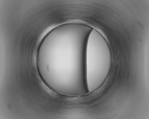 X0000115551054200911061123