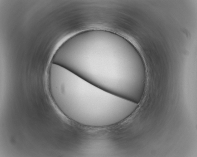 X0000115551056200911061123