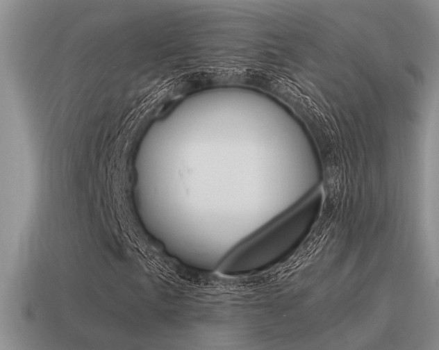 X0000115551057200911061122