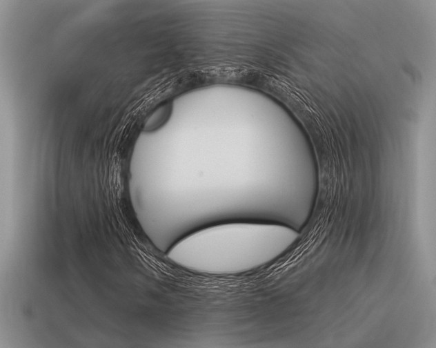 X0000115551058200911061122