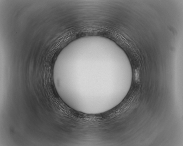 X0000115551059200911061122
