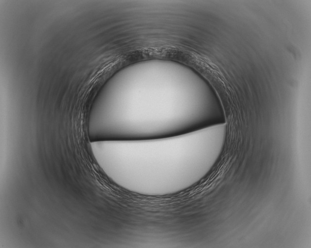 X0000115551060200911061122