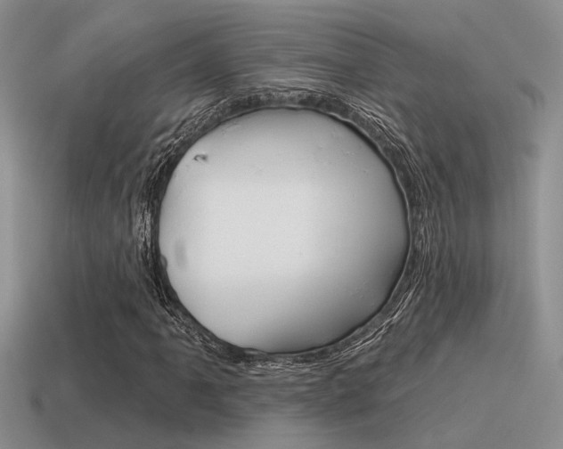 X0000115551061200911061122
