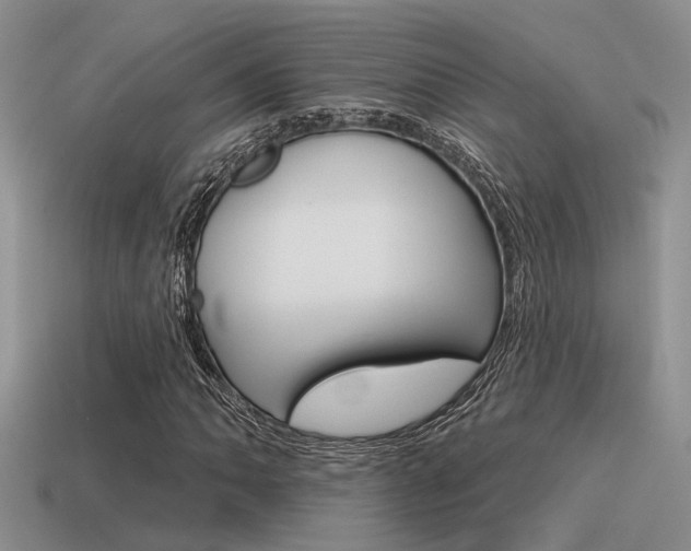 X0000115551062200911061122