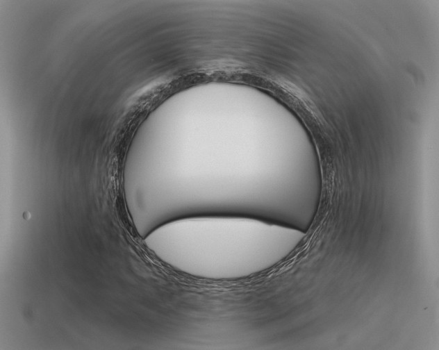 X0000115551063200911061122