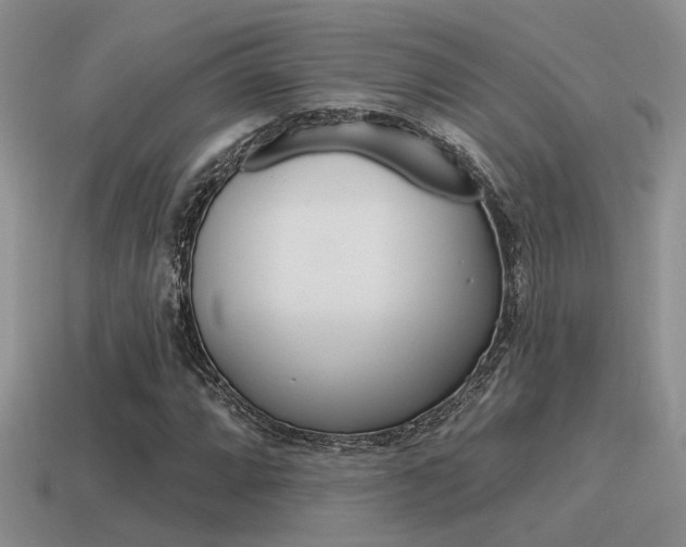 X0000115551064200911061122