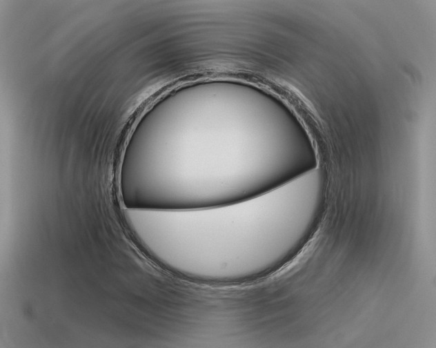 X0000115551065200911061122