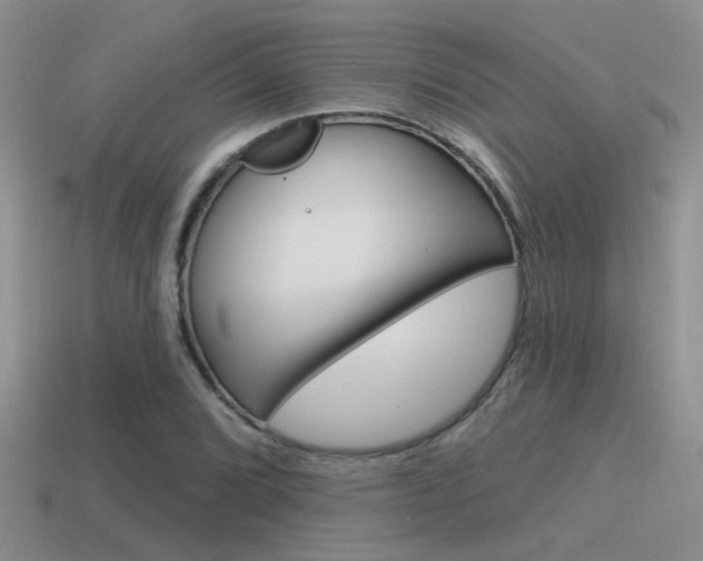 X0000115551072200911061122