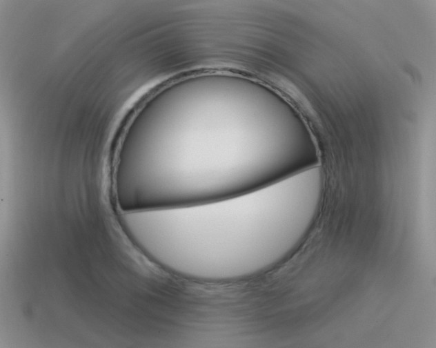 X0000115551076200911061122