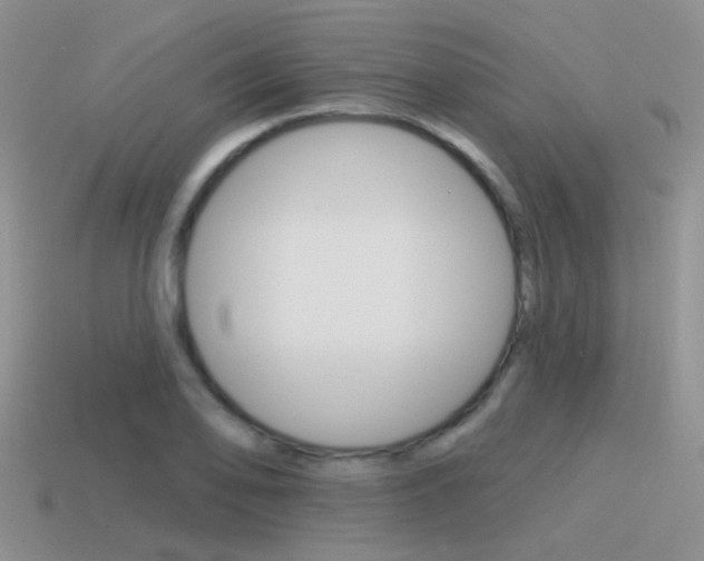 X0000115551078200911061122