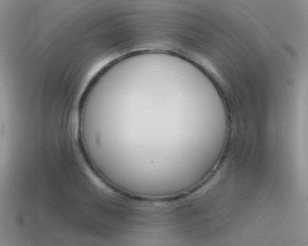 X0000115551079200911061122