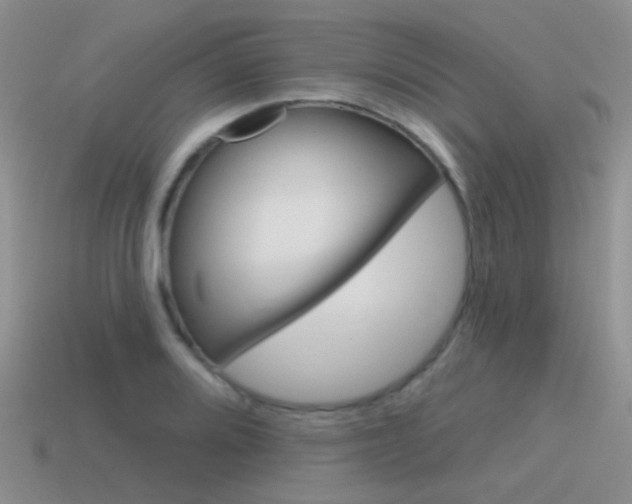 X0000115551080200911061122