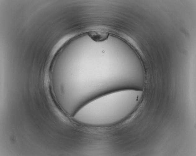 X0000115551082200911061122
