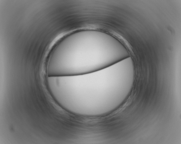 X0000115551083200911061122
