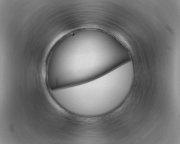 X0000115551084200911061122