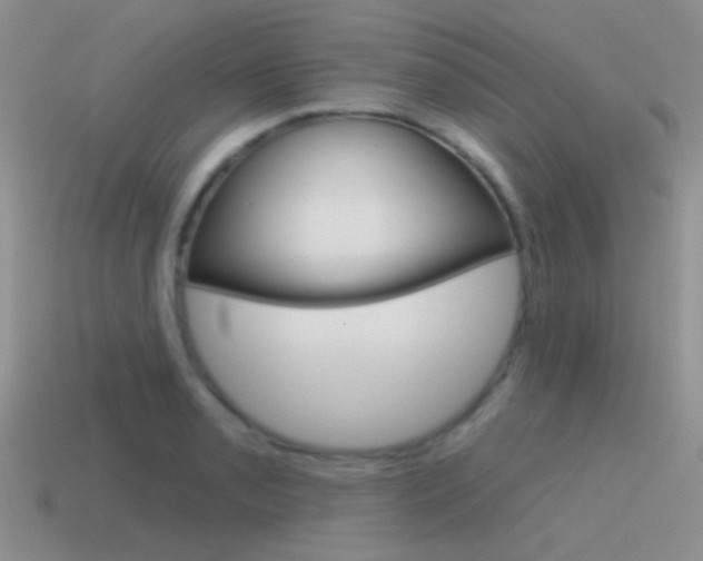 X0000115551085200911061122