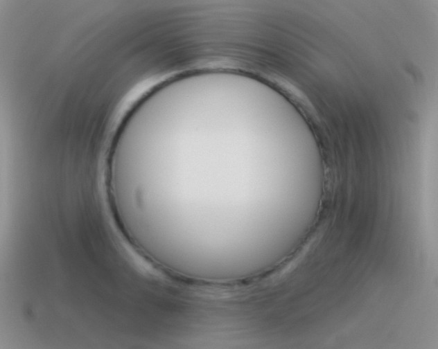 X0000115551086200911061122