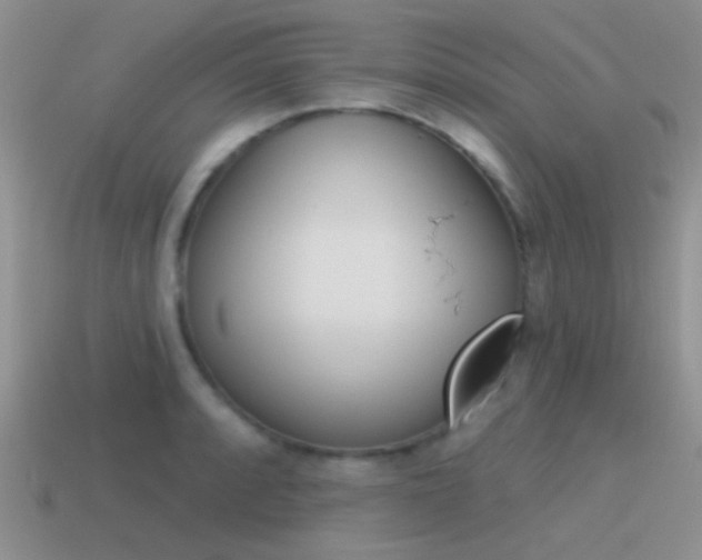 X0000115551088200911061122