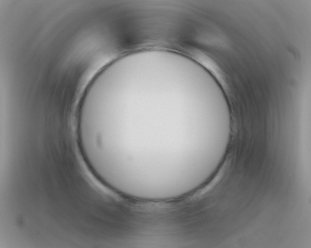X0000115551090200911061122