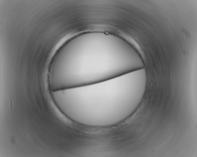 X0000115551091200911061122